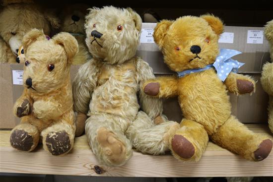 Seven bears, Chiltern 1960s, Farnell hair loss 1930s, three others, tallest 15in.